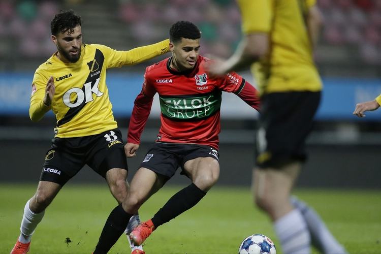 他们已经具 他们已经具